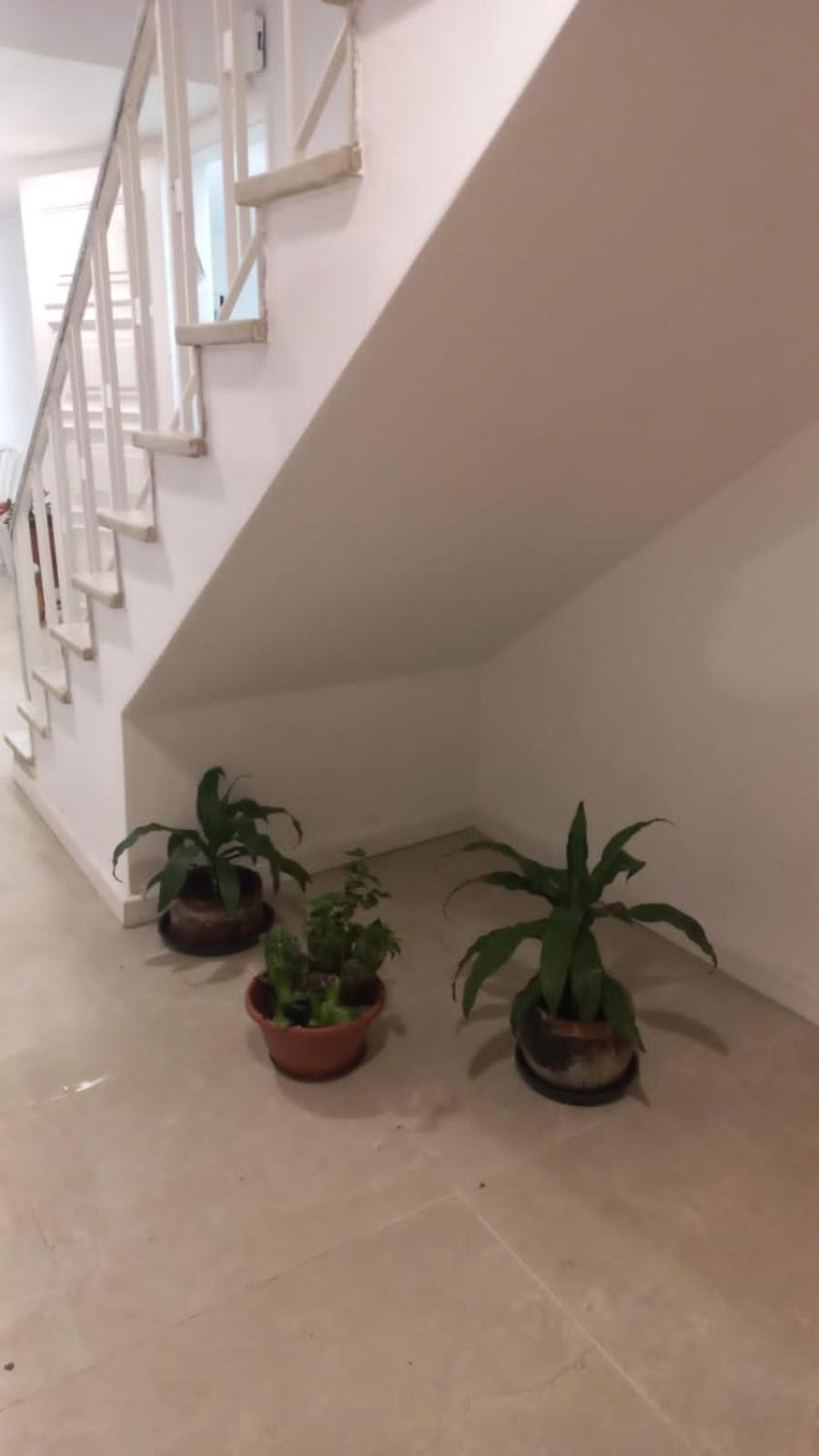 Homestay Espaco Semente Poa Lirio Porto Alegre